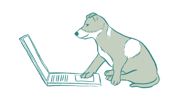 dog working on computer