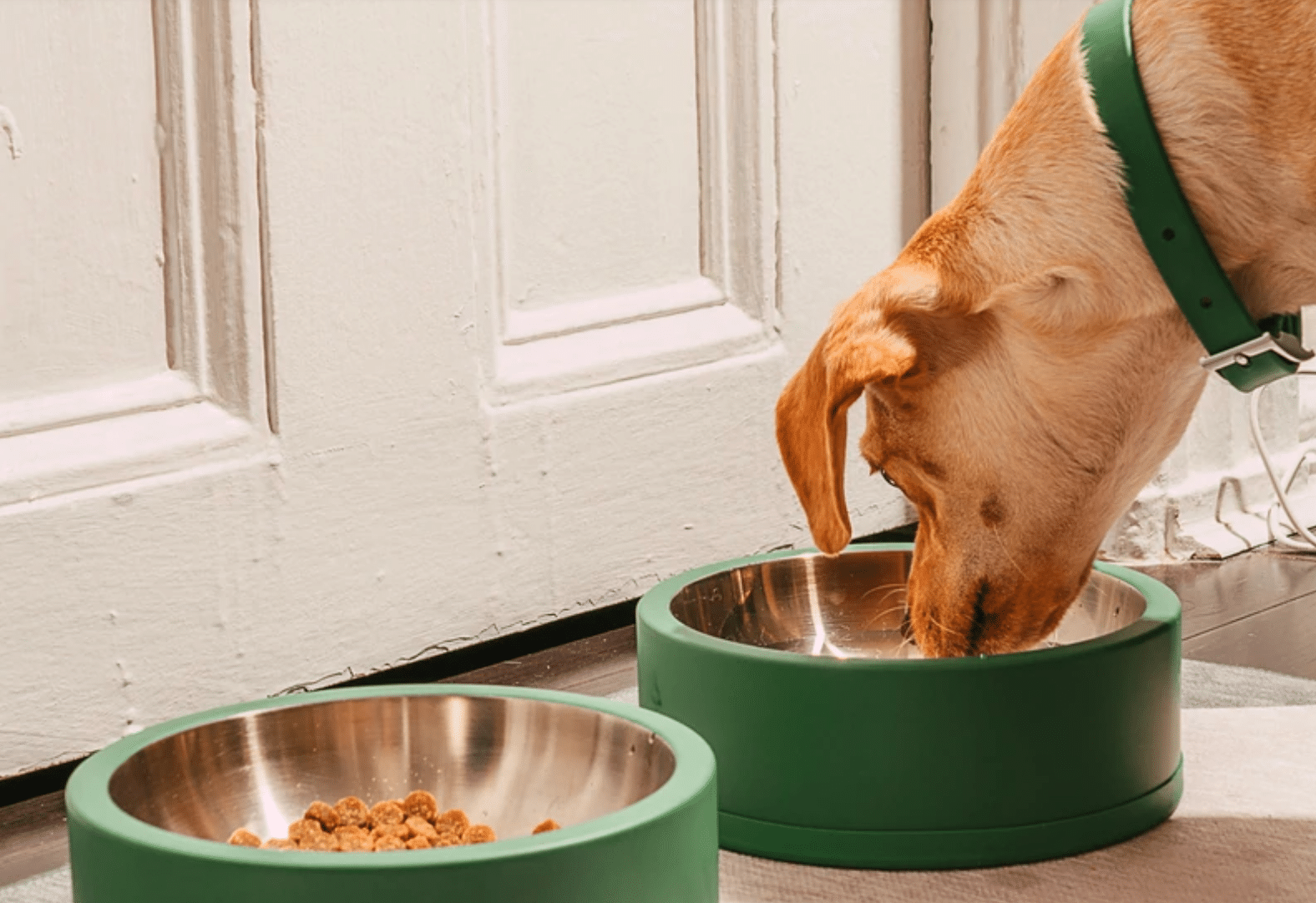 Heavy Dog Bowls That Can't Be Moved