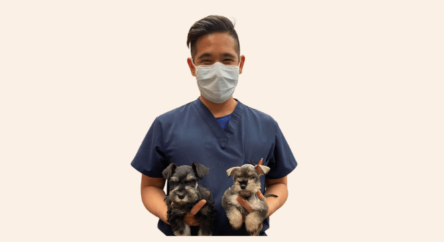 dr. z