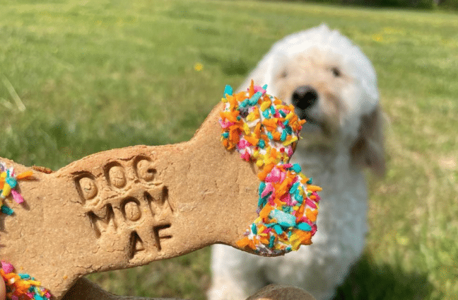 Dog treats