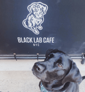 Black Lab Cafe