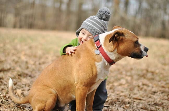 dog and toddler