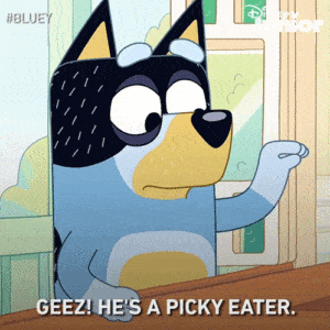 picky eater gif - dog food for a picky eater