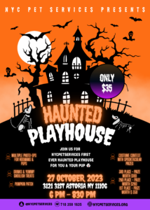 Halloween haunted playhouse 
