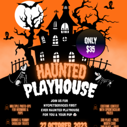 Halloween haunted playhouse